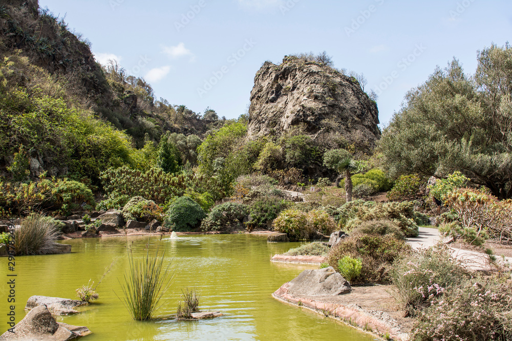 Botanischer Garten auf Gran Canaria