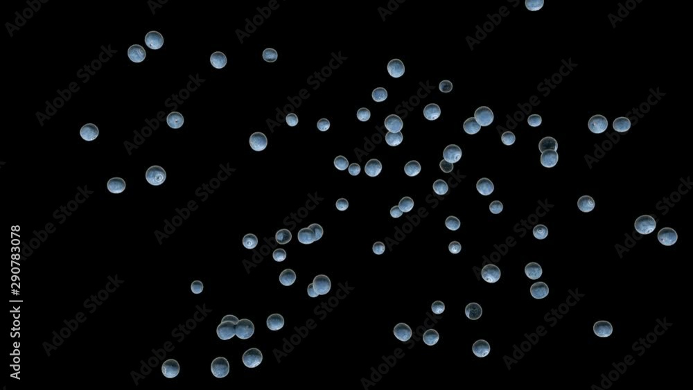 Blueberries flying in slow motion, upper view, against black Blueberries flying in slow motion, upper view, against black