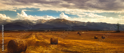 agricultural field at the foot of the mountains photo