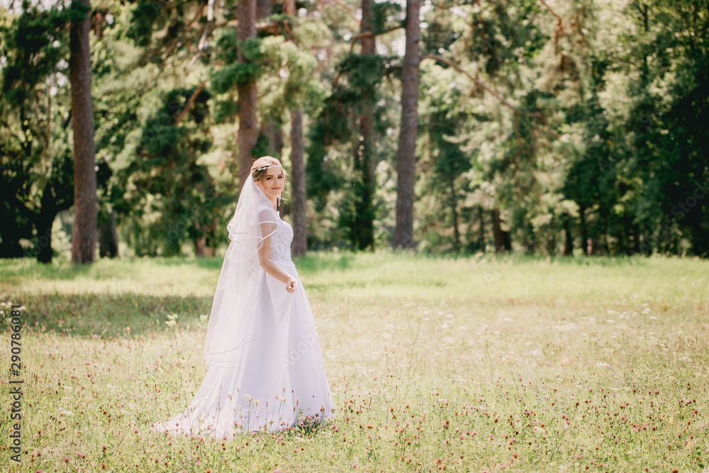 bride in veil in the park in the meadow