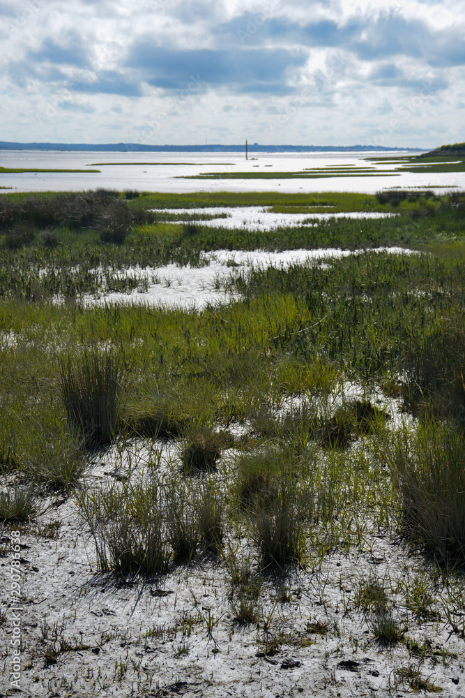 Fototapeta premium Bassin d'Arcachon