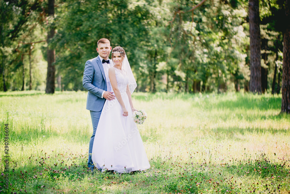 portrait of the newlyweds in the meadow