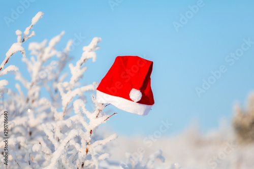Christmas background with red hat and white branches of a Christmas tree