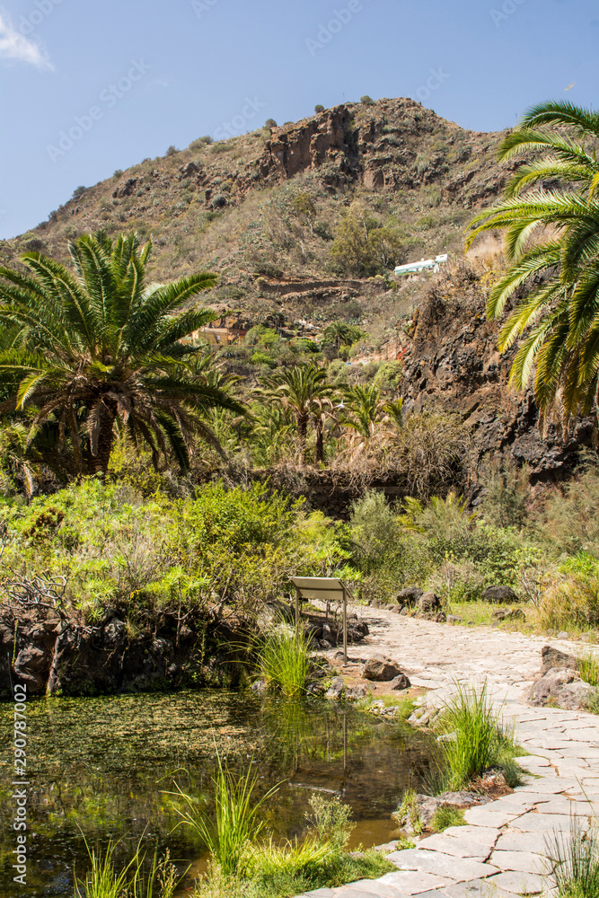 Botanischer Garten auf Gran Canaria