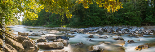Natur Panorama am Fluss im Wald