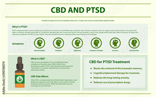 CBD and PTSD horizontal infographic illustration about cannabis as herbal alternative medicine and chemical therapy, healthcare and medical science vector.
