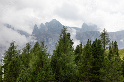 Fog after summer rain in the Alpine mountains near town Colfosco  Calfosch  Italian Dolomites  Italy.