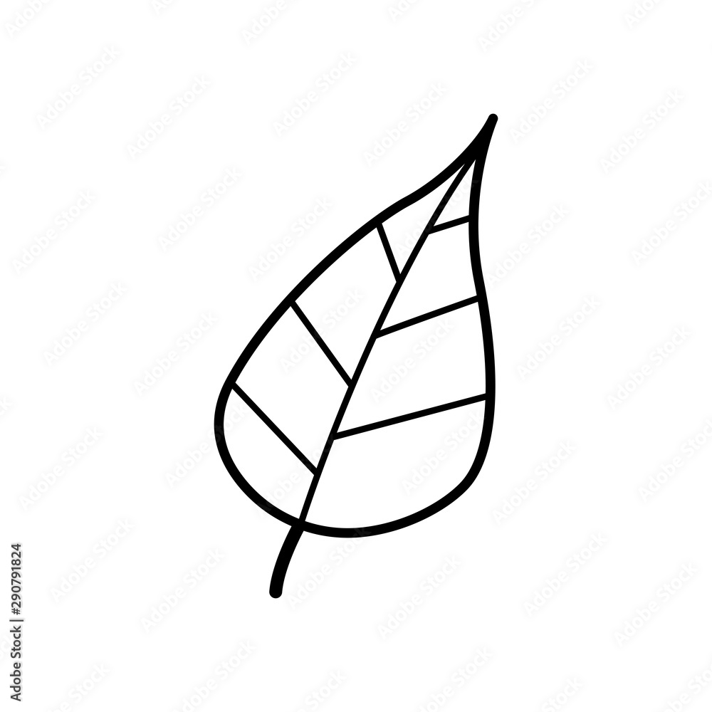 Hand drawn Leaf isolated on a white. Sketch. Vector illustration. Hand drawn Leaf isolated on a white. Sketch. Vector illustration.