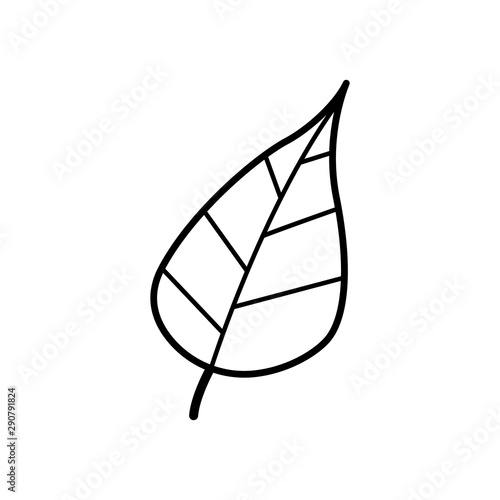 Hand drawn Leaf isolated on a white. Sketch. Vector illustration.