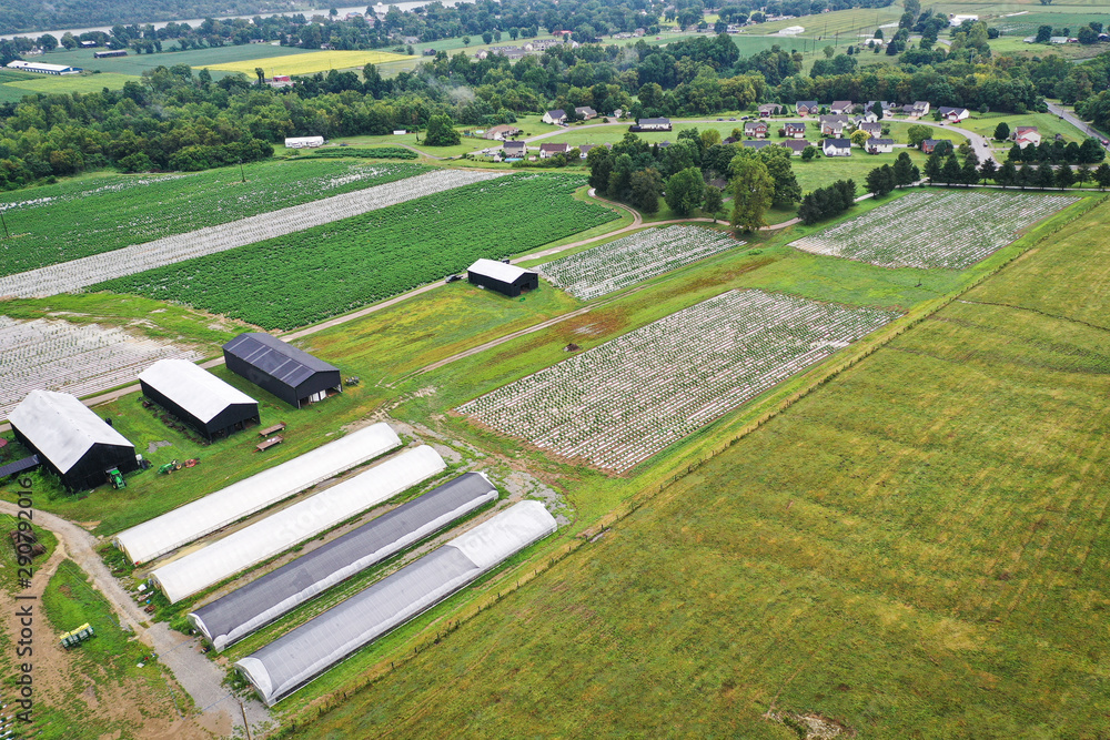Hemp Farm Aerial Image
