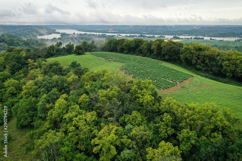 Hemp Farm Aerial Image