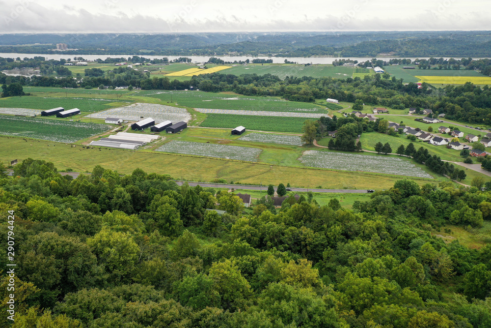 Hemp Farm Aerial Image