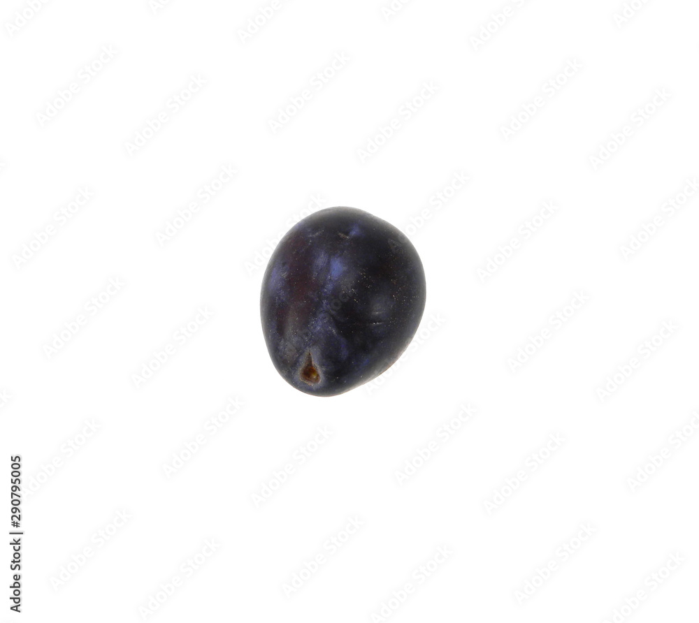 plum isolated on white background plum isolated on white background