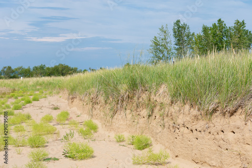 Sand Dunes with Native Plants at Montrose Beach in Uptown Chicago