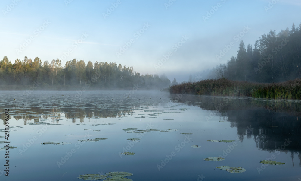 Fototapeta premium Beautiful morning fog on the lake. Forest, lake, in the fog. Mysterious fog