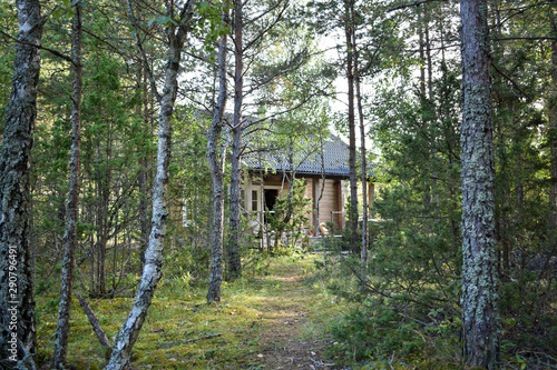 A cabin hidden in the woods