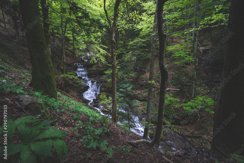 cascata nel bosco