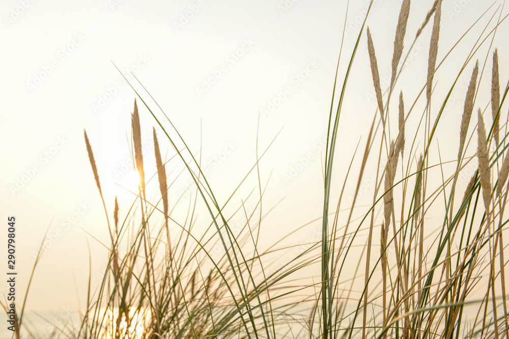 List auf Sylt 1 List auf Sylt 1