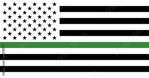 United States military green line flag. Thin green line. Vector EPS 10