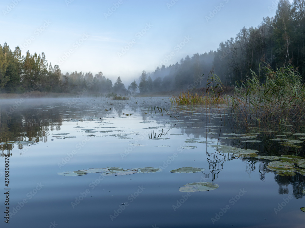picture from the lake, early morning, water fog, abstract lake grass in the foreground picture from the lake, early morning, water fog, abstract lake grass in the foreground