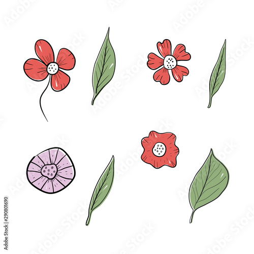 Tropical vector flowers. set floral illustration. exotic Leaf isolated on white background. fcollection with flowers for invitation to party or holiday photo