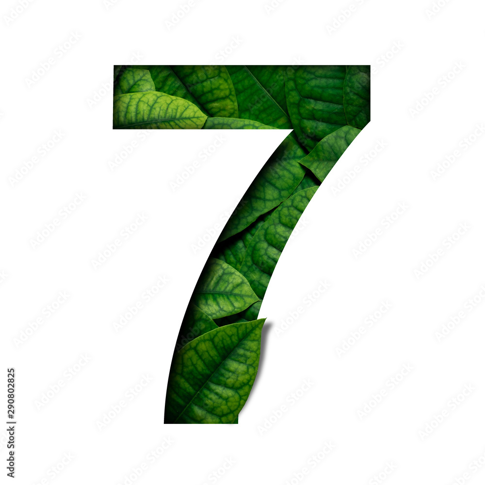 Lefas number 7 made of Real alive leafs with Precious paper cut shape of number. Leafs font. Lefas number 7 made of Real alive leafs with Precious paper cut shape of number. Leafs font.