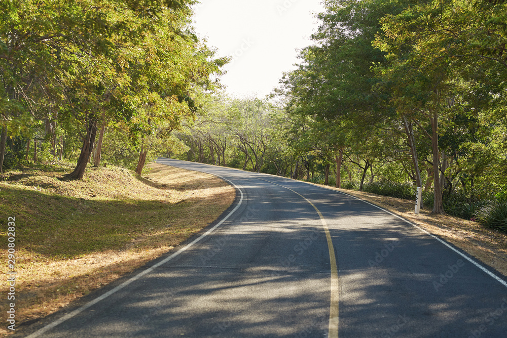 Obraz premium Left turn on country road