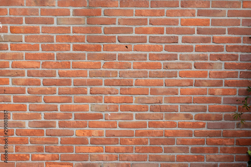 Background Dutch Brick Wall