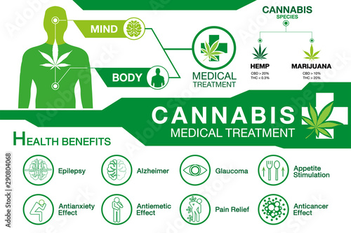 Cannabis medical treatment used for your health active on your body and your mind infographic on white background.