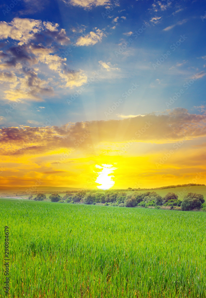 Green field and blue sky with light clouds. Above the horizon is a bright sunrise.