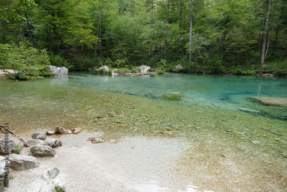 Lake in a Slovenian Forest Lake in a Slovenian Forest