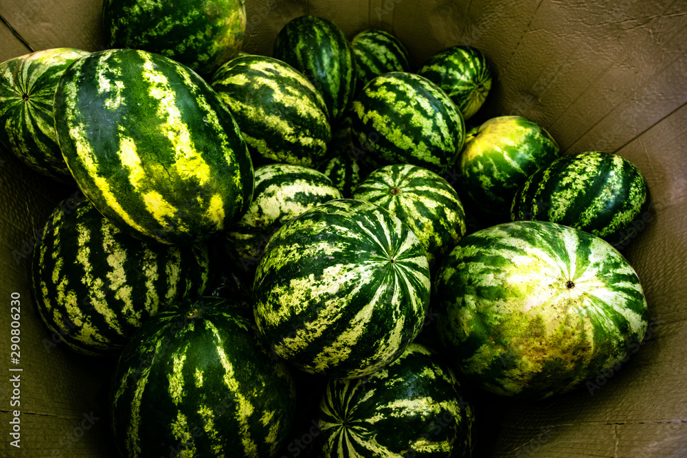 Striped watermelon pile background. Autumn harvesting season. Green ripe melons on farmer market. Delicious eating, seasonal vitamin wallpaper. Healthy nutrition, organic eco product concept