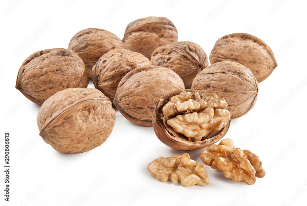 walnut isolated on the white background Noci Noci di Sorrento walnut isolated on the white background Noci Noci di Sorrento