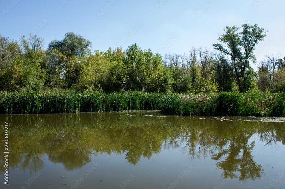 Swamp area Imperial Pond, Carska bara, Serbia. Large natural habitat for rare birds and other species. Swamp area Imperial Pond, Carska bara, Serbia. Large natural habitat for rare birds and other species.