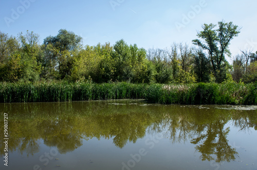 Swamp area Imperial Pond, Carska bara, Serbia. Large natural habitat for rare birds and other species.