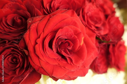 roses
