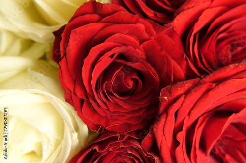 roses