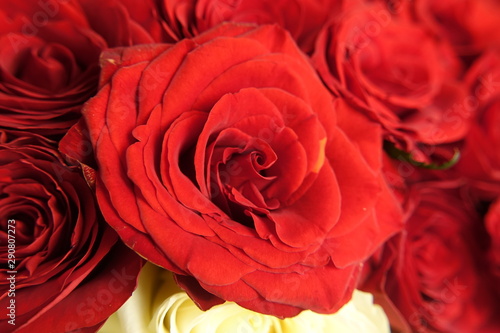roses