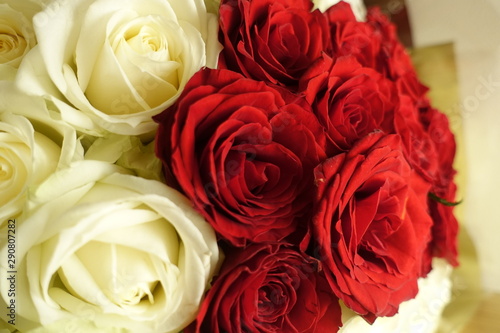 roses
