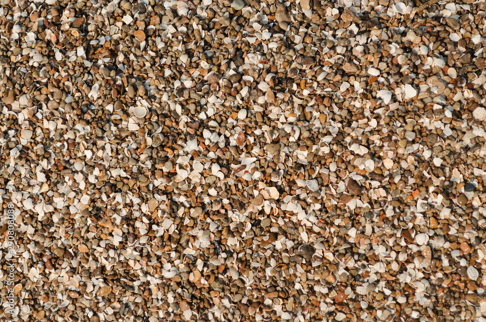The texture of small shells and pebbles on the shore. The texture of small shells and pebbles on the shore.