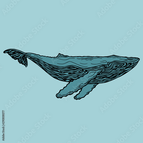 Large humpback whale with two fins and tail, side view. The silhouette of the whale is drawn manually with a pencil. A detailed image of an adult whale on a blue background