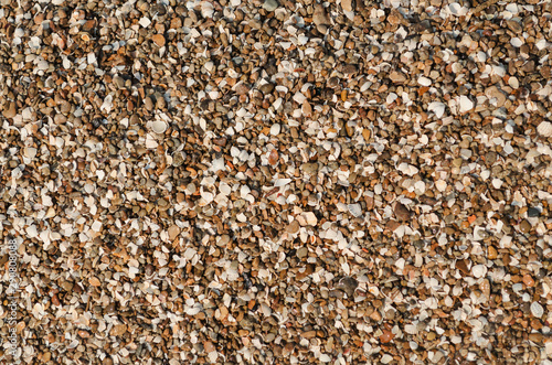 The texture of small shells and pebbles on the shore.