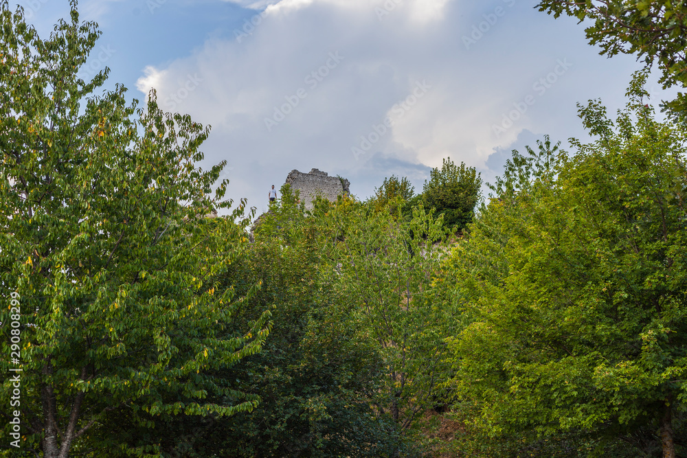 Forêt Inimitable