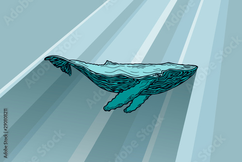 Vector silhouette of whale under water. Side view, sun rays fall on a large humpback whale in the water. The shadow falls from the whale. The whale is painted with a pencil.