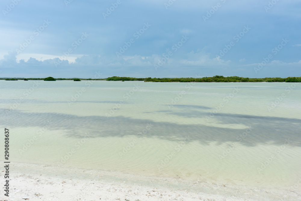 View of mangrove swamp in Yucatan