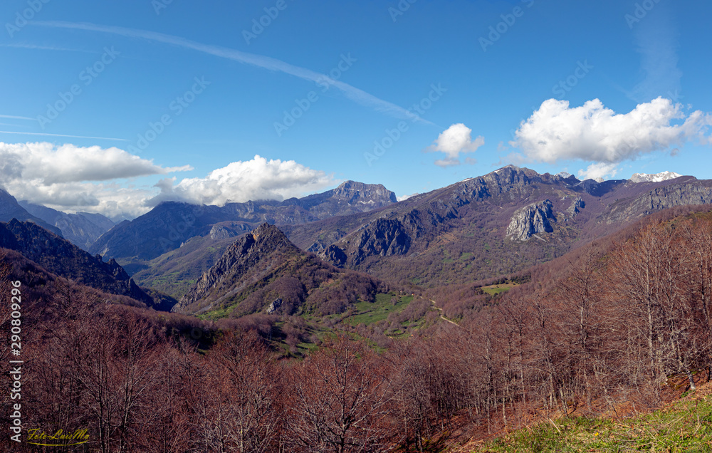 Fototapeta premium Sajambre