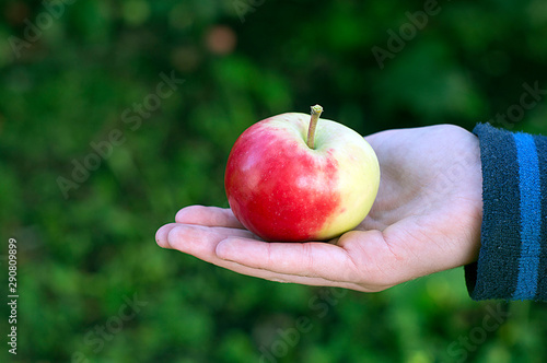A hand holding a red Apple on a natural green background.