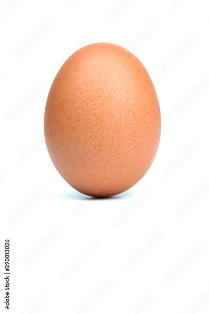 Single brown eggs isolated from white background with copy space for writing text. Single brown eggs isolated from white background with copy space for writing text.