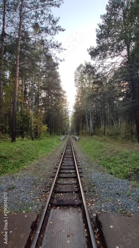 railway in the forest