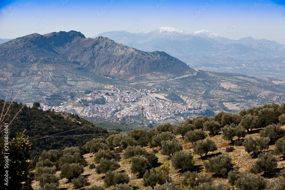 Panoramic view of the city of Quesada between fields of olive trees, near the natural park of Cazorla, Jaen province, Andalucia, Spain